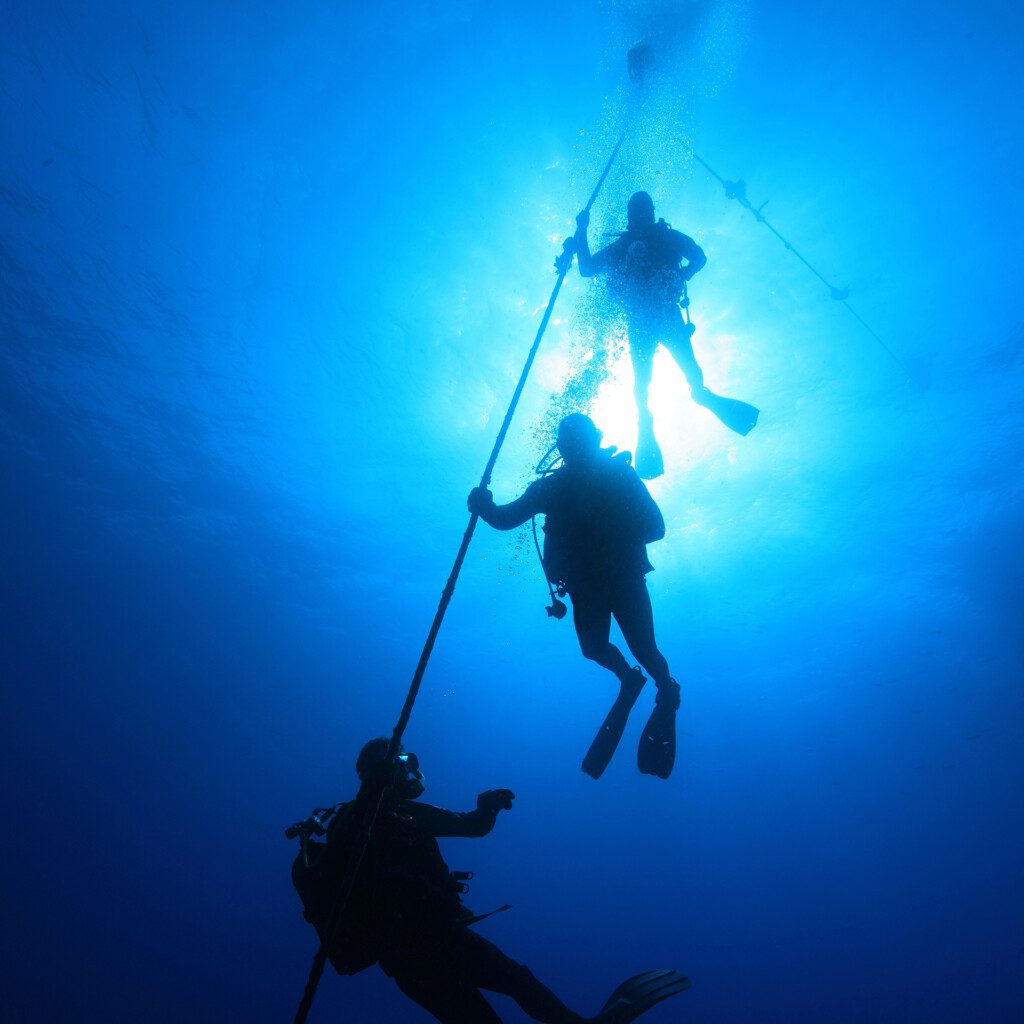 divemaster class