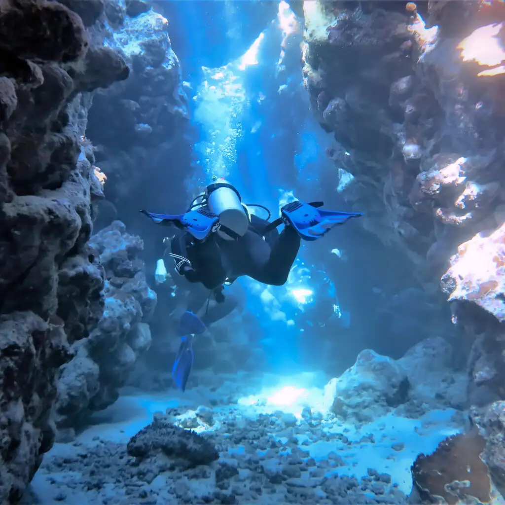 Diver in canyon