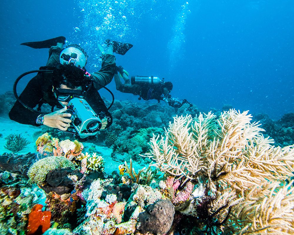 Researching a reef